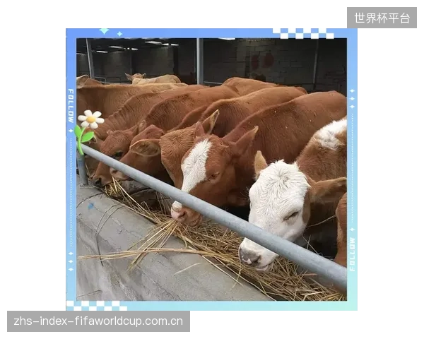 从“圈养”到“放养”:管理者的核心职责已从现场监督转向远程数据干预 从“圈养”到“放养”:管理者的核心职责已从现场监督转向远程数据干预